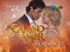 camino-al-amor04