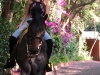 esmeralda-ugalde12