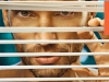 juliangil0036