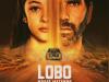 lobo-morir-matando13