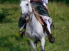 guerreras-y-centauros12-jpg