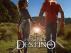 un-camino-hacia-el-destino18-jpg