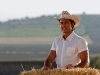 Fernando Colunga